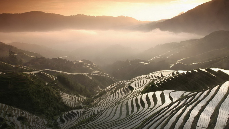 hills, tea, mountains, nature, water, landscape, mist, clouds, India, 1080P