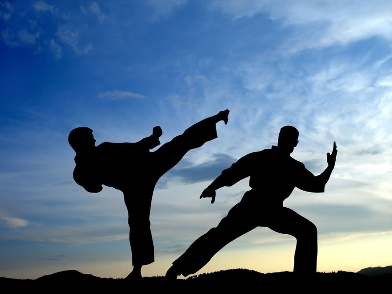 males, lifestyles, success, leisure activity, The sky, two people, group Of People, Martial arts, The fight, jumping, summer, arms raised, yoga