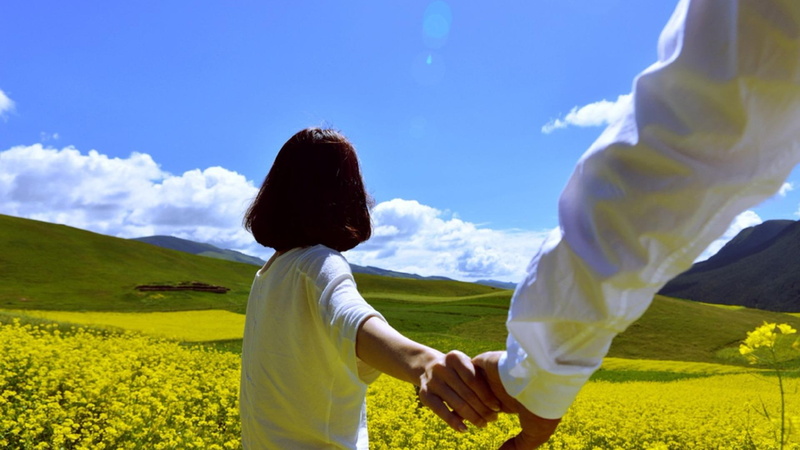 flower field, china, qilian mountains, rape field, love, hand, asia, hand in hand, hands, field, qinghai, couple, 1080P, rape