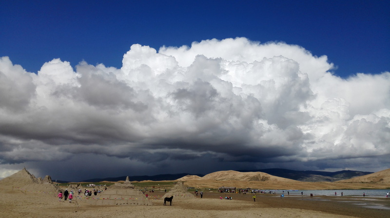 scenics, desert, beauty in nature, domestic animals, travel destinations, animal themes, landscape, architecture, Blue Sky, 4K, Qinghai Lake, mammal, animal