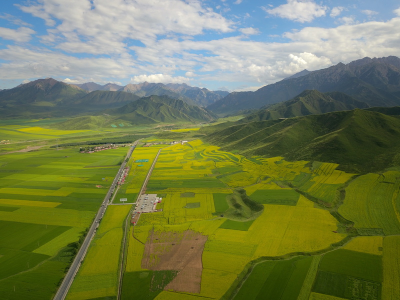 patchwork landscape, no people, field, environment, cloud - sky, tranquility, idyllic, outdoors, beauty in nature, qinghai, landscape, rural scene, scenics - nature