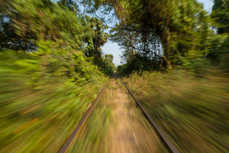 speed, nature, the way forward, plant, 5K, bammboo, direction, no people, outdoors, growth, fast, krong battambang, motion, on the move, train, long exposure