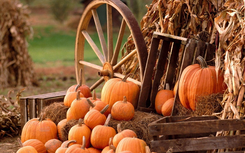 food and drink, no people, day, land, wheels, wheel, field, nature, food, plant, agriculture, healthy eating, pumpkin, farm, vegetable, halloween, hay