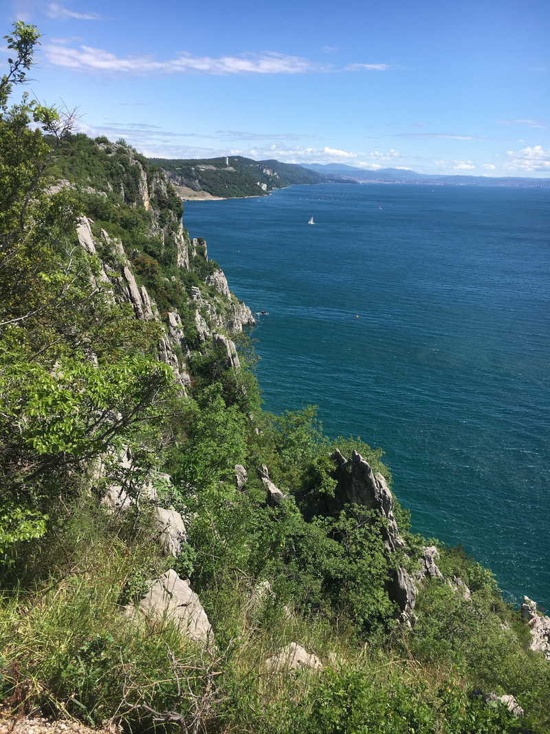 no people, trieste, scenics - nature, land, day, 4K, tranquility, tree, coast, plant, beauty in nature, horizon over water, sea, water, sky, growth, cloud - sky