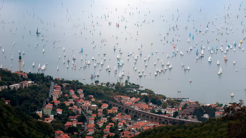 daytime, sailing, high angle view, city, outdoors, cityscape, regatta, building exterior, plant, italy, day, nature, sailboat, crowd, 1080P, tree, aerial photography