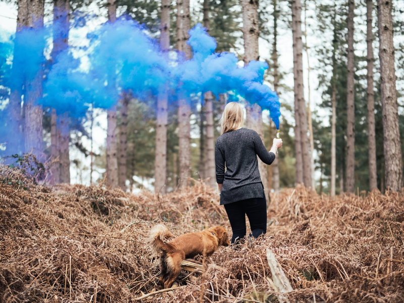 tolling, woods, warm clothing, plant, united kingdom, mammal, nova, vertebrate, new forest national park, girl, grenade, walking, nature, rear view, animal themes