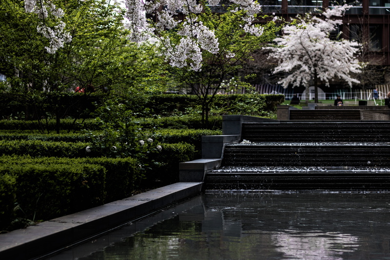 water, purple, springtime, natural light, day, beauty in nature, lake, london, kingscross, staircase, new, railing, park, outdoors, plants, kings cross