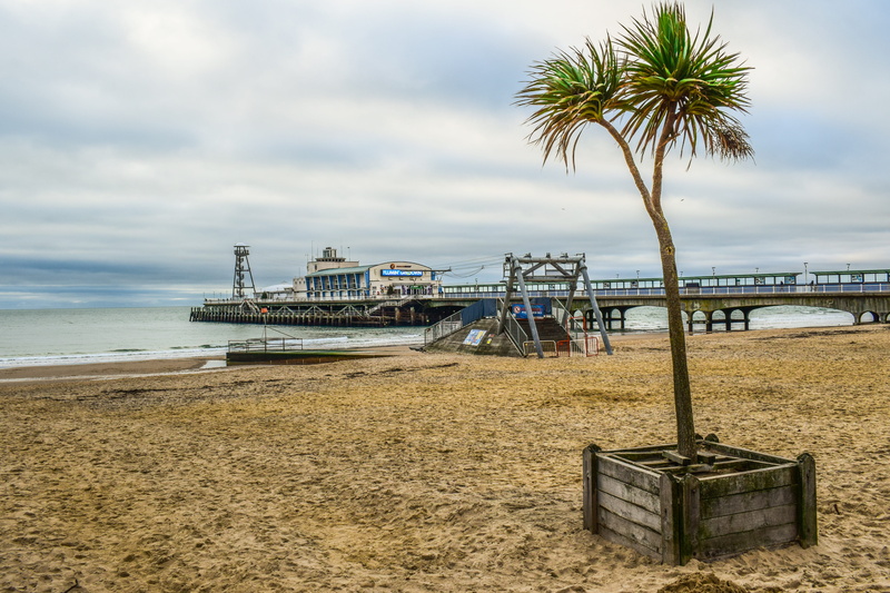 sky, nautical vessel, transportation, beauty in nature, coconut palm tree, tropical climate, palm tree, pier, outdoors, 5K, day, seaside, mode of transportation