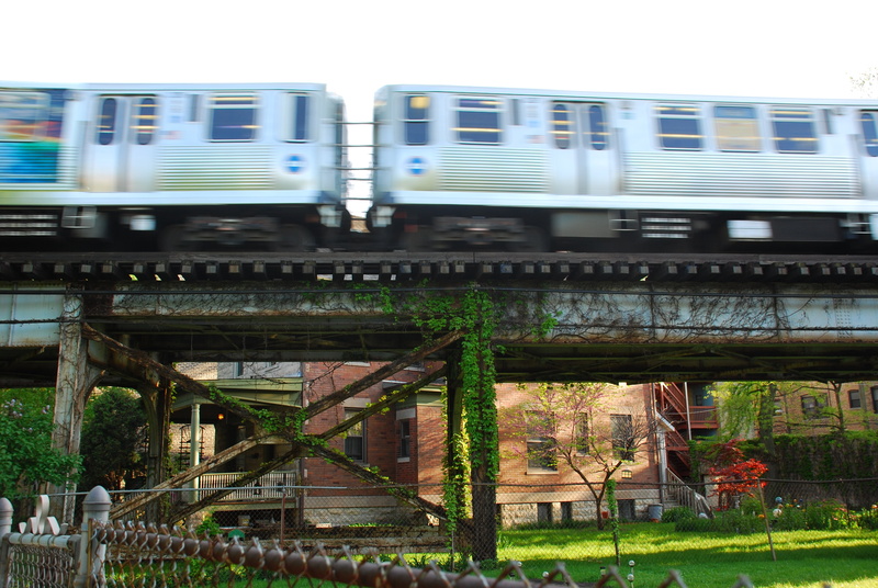 railroad car, railway bridge, no people, commuter, railroad, elevated, 4K, rail transportation, rapid, plant, city, train, cta, nature, rail, el, sky