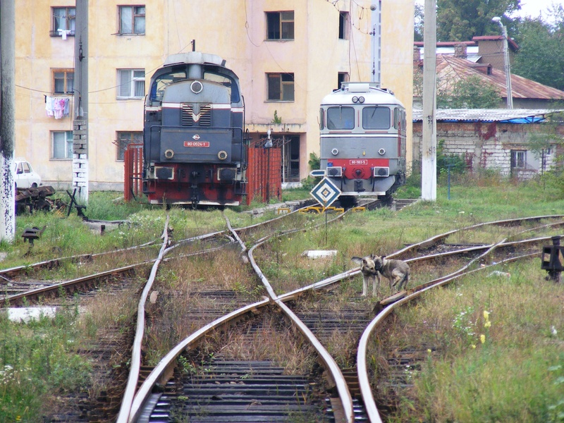 architecture, traveler, motion, movement, iron, depot, day, shunting yard, transport, outdoors, transit, commute, steel, platform, rails, destination, station