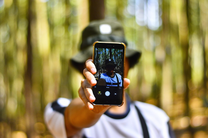 gray, selfie, take photo, pinus, 5K, hutan, yogyakarta, tech, activity, hold, leisure activity, focus on foreground, photographing, camera - photographic equipment