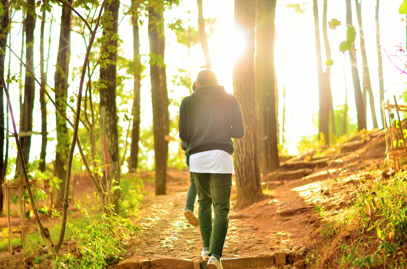 land, outdoor, walking, casual clothing, tree, pinus, outdoors, nikon, forest, men, lens flare, plant, woodland, full length, one person, day, real people
