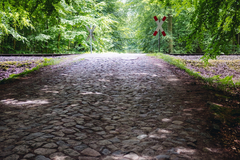 train, white, women, footpath, platform, cross, track, travel, road, the way forward, green, forest, walking, growth, abandoned, landscape, crossing, tranquility