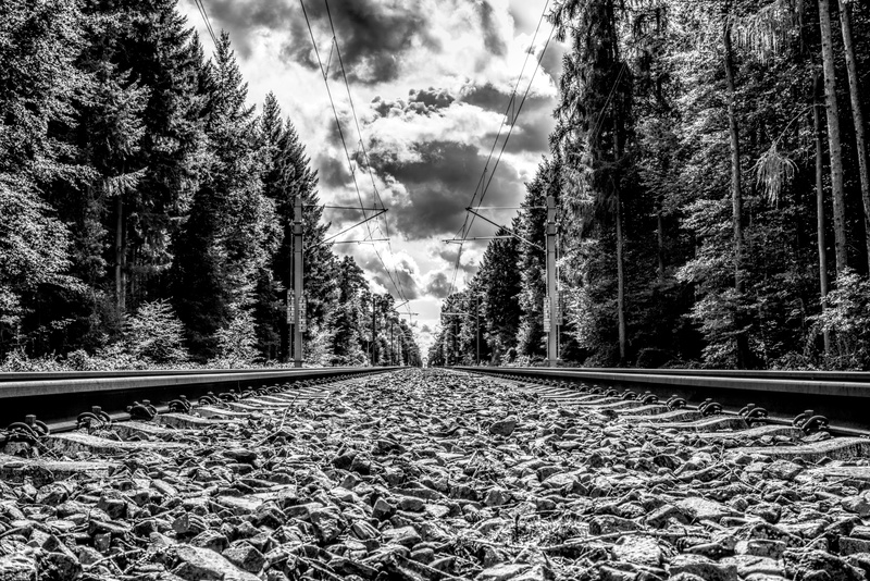contrast, infinite, mode of transportation, plant, tree, land, railway station, rail transportation, 5K, high dynamic range, railroad tracks, the way forward
