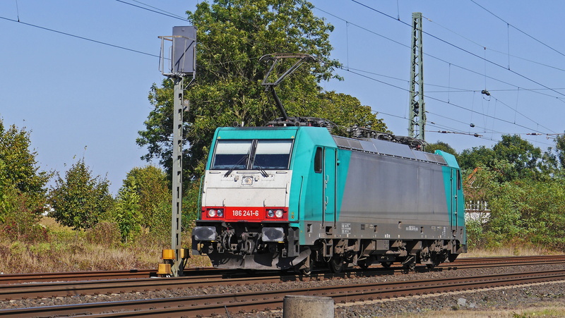 land vehicle, cable, lokpool, plant, track, train, rail traffic, railroad track, nature, private railway, railway, electric locomotive, mode of transportation