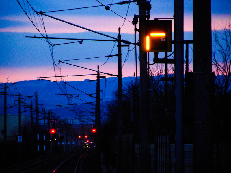 traffic, dusk, signal, sunset, mode of transportation, power supply, cable, tree, sky, lighting equipment, electricity, transportation, illuminated, travel
