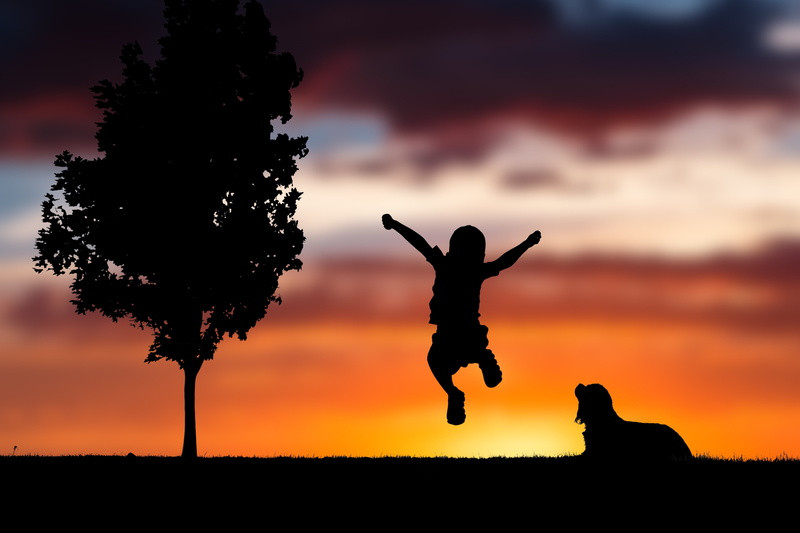 Happiness, 5K, Silhouette, Playing kid, Sunset, Mood, 5K, Dog