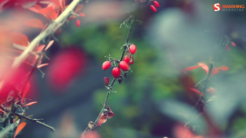 background, fruits, desktop, 2K, autumn, images, impression