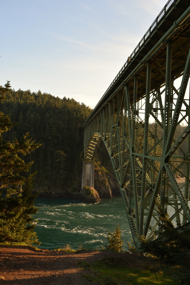 tree, arch bridge, anacortes, transportation, water, sky, river, outdoors, connection, structure, landmark, architecture, land, bridge - man made structure