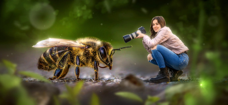 focus, mystical, activity, mysterious, camera - photographic equipment, holding, beauty, woman, bee, encounter, fantastic, wireless technology, nature