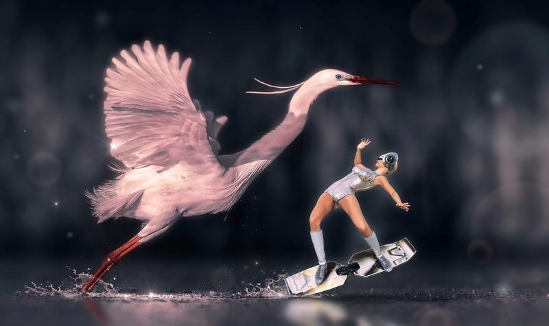 flying, side view, people, contrast, mid-air, encounter, photomontage, full length, water, digital composite, light, mysterious, animal wildlife, focus on foreground