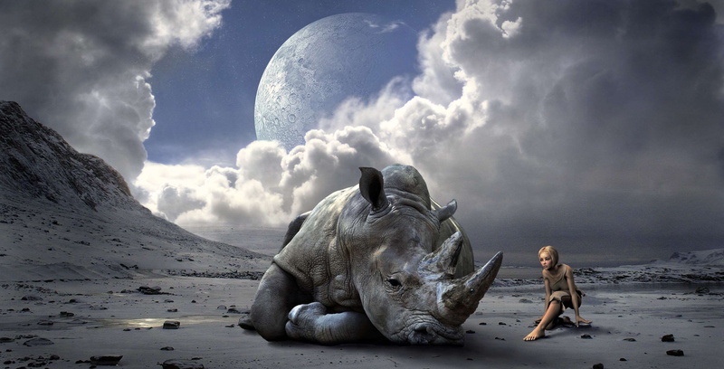 planet, no people, encounter, mood, light, lighting, nature, atmosphere, rhino, sea, horns, outdoors, animal wildlife, land, mammal, water, full length