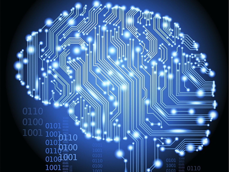 fee, Hi-Tech, Technology, brain, 1080P