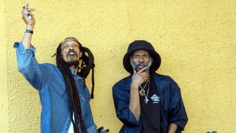 israel, 1080P, wall, dreadlocks, vibration