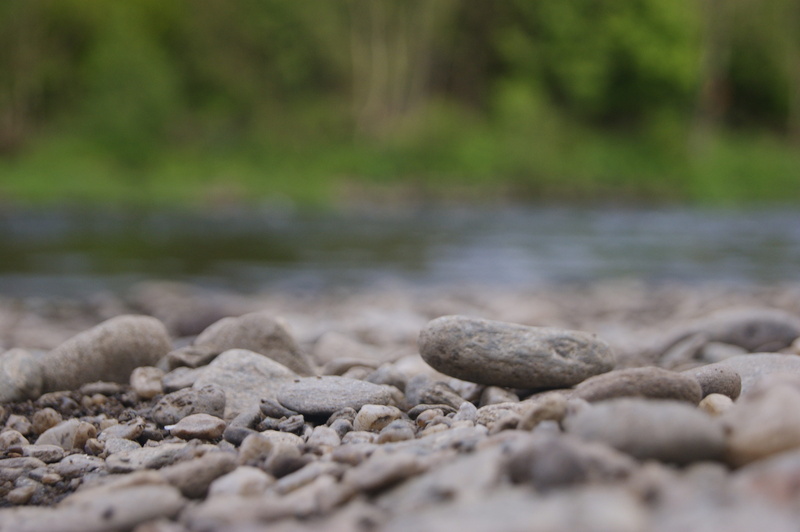 pebbles, land, day, 4K, peace of mind, beauty in nature, surface level, the background, outdoors, tree, hard, field, no people, solid, landscape, tranquility