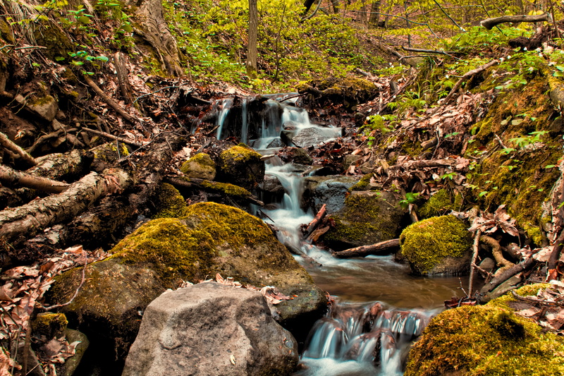 rocks, outdoors, peace of mind, scenics - nature, no people, rainforest, tree, solid, blurred motion, 5K, slovakia, power in nature, rock - object, rock