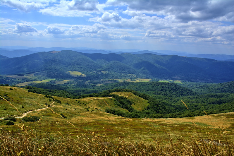 holidays, summer, tops, scenics, beauty in nature, mountain, time of year, hill, green, poland, bieszczady, tarnica, green color, sunny, no people, view