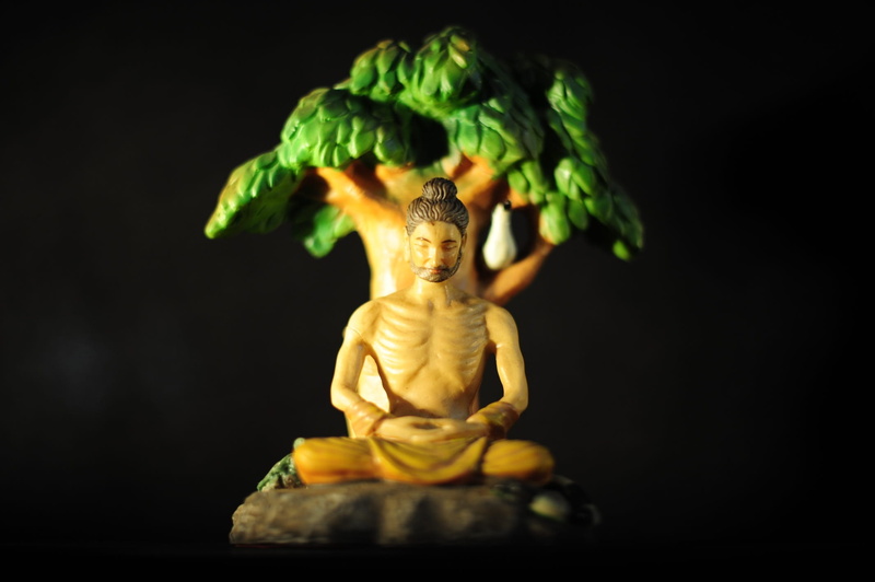 representation, religion, no people, bodhi tree, spiritual, close-up, serene, statue, sculpture, food, male likeness, meditation, food and drink, peace