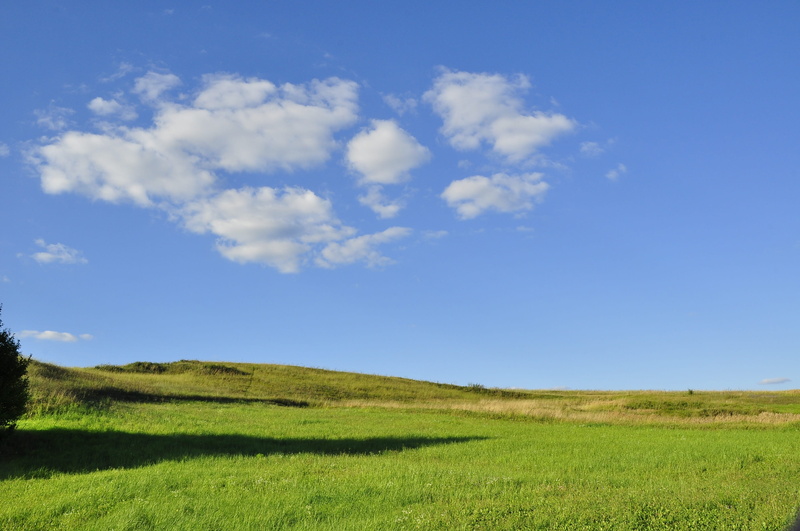 day, non-urban scene, field, nature, blue, plant, peace of mind, sky, no people, meadows, scenics - nature, the background, tranquility, green color, summer