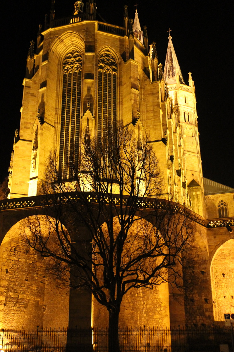 light, building exterior, tourism, building, outdoors, dom, kahl, travel, illuminated, spirituality, christianity, tree, erfurt, bare tree, low angle view