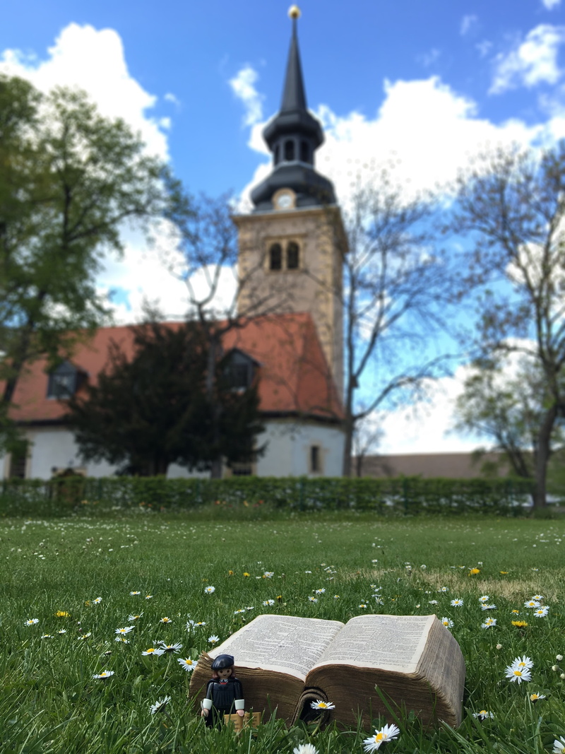 Church, day, outdoors, religion, belief, church steeples, field, place of worship, grass, antique, cloud - sky, reformation, tower, tree, Erfurt, luther year