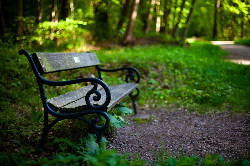 metal, empty, green color, park - man made space, park bench, growth, bank, garden bench, land, park, grass, rest, plant, tree, relaxation, tranquility