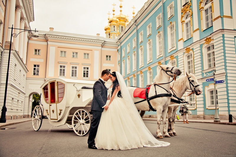 horses, pair, 1080P, mood, love, wonderful, bride, wedding, couple, beautiful, sweet, good, gorgeous, adorable, lovely, woman, humor, romantic