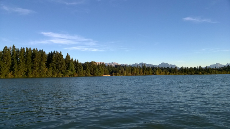 idyllic, greened, nature, tranquility, beauty in nature, tree, cloud - sky, pine woodland, day, lake, forest, landscape, alpine, land, tranquil scene, allgäu