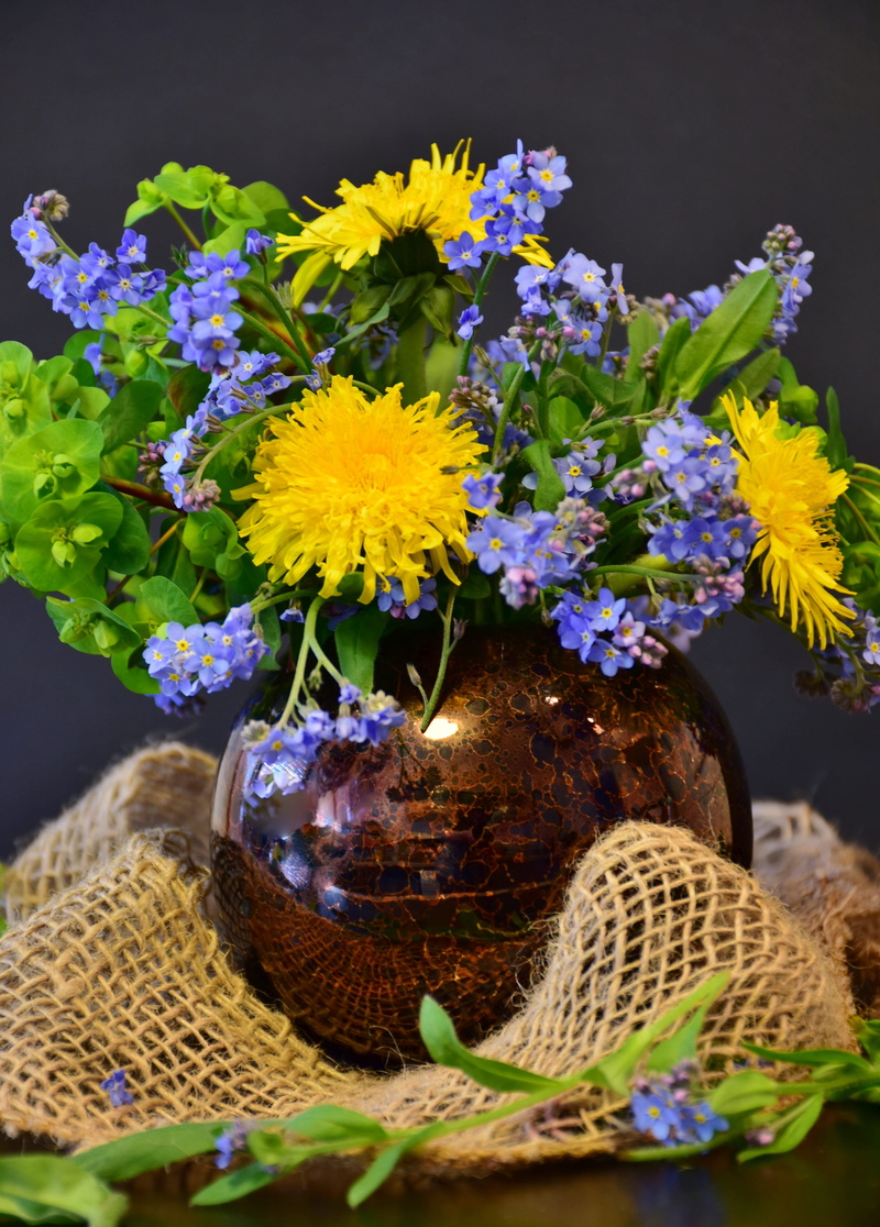 romantic, mitbringsel, close-up, nature, season, garden, flowering plant, brown, color, flower, inflorescence, 5K, bouquet, plant, growth, farbenpracht