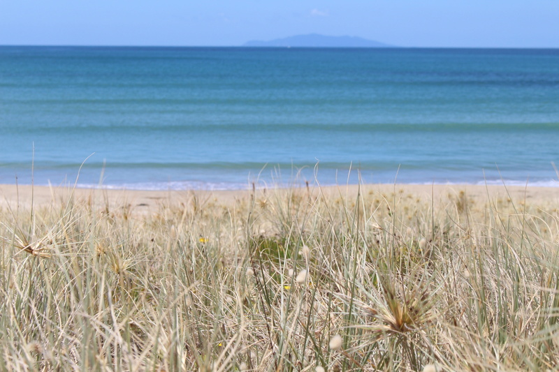 sand, soft, New Zealand, nature, scenics, no people, gentle, sea, recovery, paradise, plant, water, horizon over water, scenics - nature, beach, mood, sky