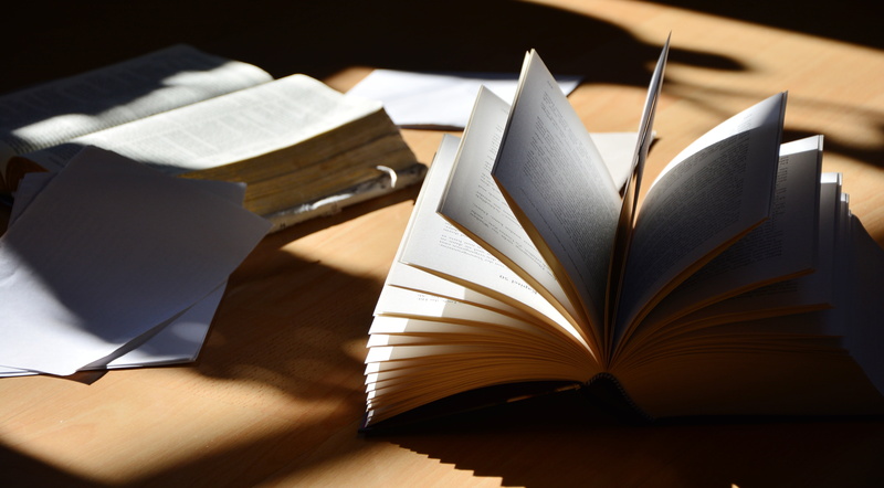 open, paper, read, education, still life, light, literature, publication, 5K, study, book pages, folded, opened, creativity, reading, close-up, brown