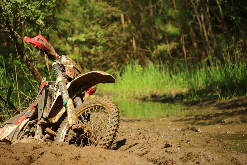 bicycle, water, land vehicle, field, dirt, mode of transportation, mud, tree, forest, no people, plant, muddy, focus on foreground, quagmire, cross, growth