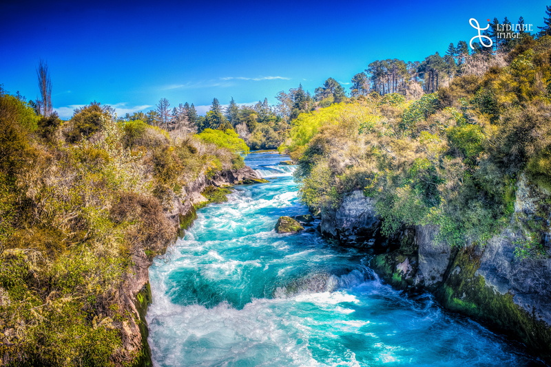 green grass, blue, tree, Nikon, water, river, Rotorua, beauty In Nature, scenics, stream, Landscape, forest, skies, green, Huka Falls, outdoors, waterfall