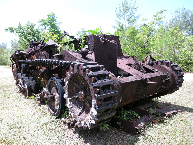 amphibious vehicle, combat, outdoors, deterioration, decline, military, plant, tank, no people, day, nature, remnant, old, war, rusty, mode of transportation