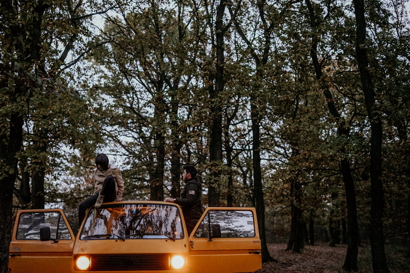 jeep, riding, yellow, men, motor vehicle, outdoors, plant, truck, lifestyles, transportation, adult, group of people, automobile, man, forest, pickup truck