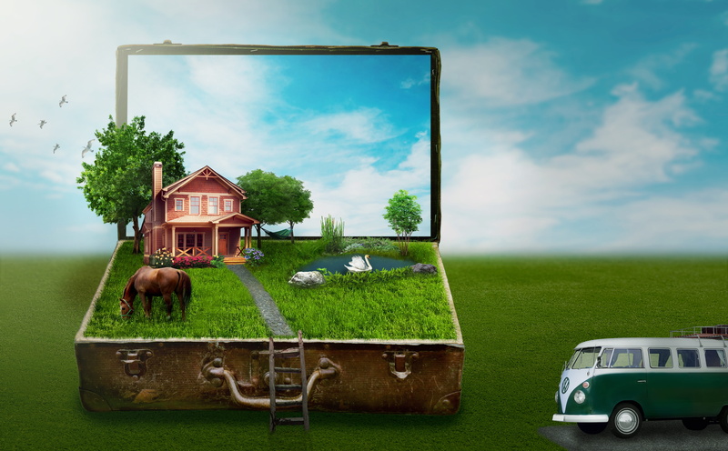 plant, miniature, nature, horse, lake, tree, idyllic, holiday plans, bulli, brown, near, house, mode of transportation, outdoors, flowers, road, clouds