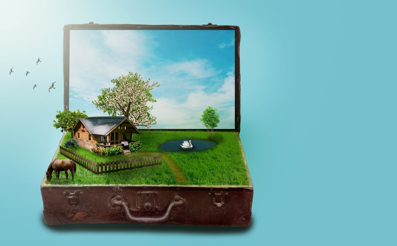 house, technology, lake, digital composite, copy space, flowers, clouds, old, sunny, swan, suitcase, studio shot, dreams, history, plot, green color, horse