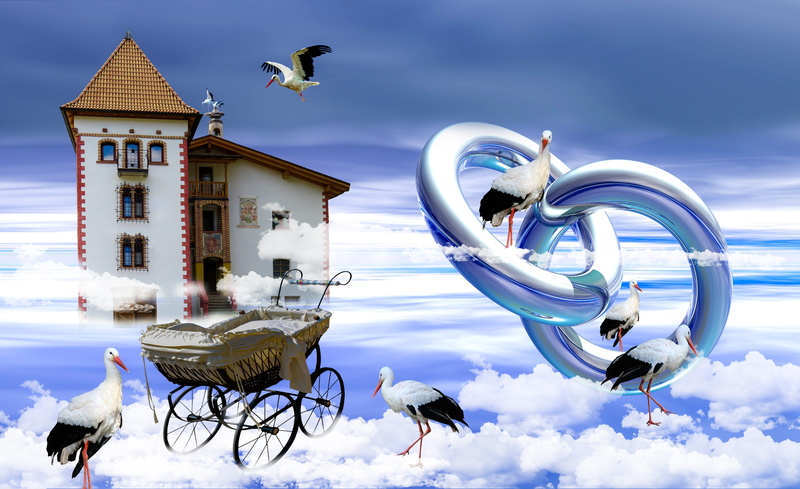 baby carriage, group of animals, built structure, bicycle, bird, dream, animals in the wild, representation, pipe dream, day, house construction, animal