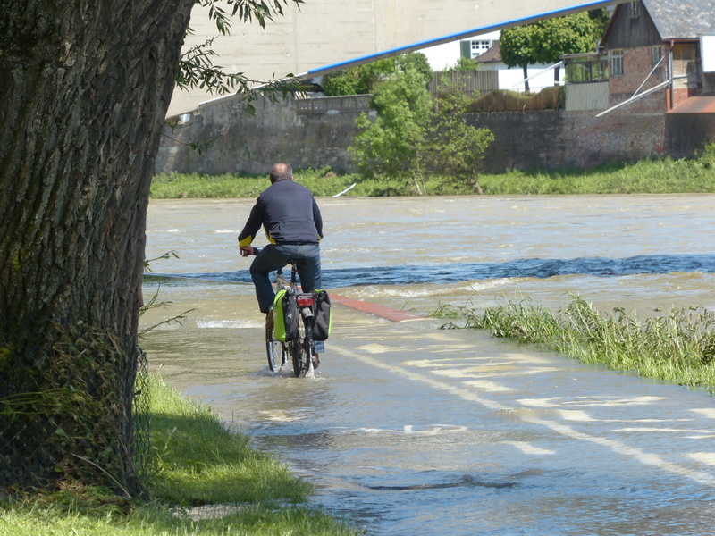 Get Wet, flooded, transportation, tree, too low, sport, people, rear view, leisure activity, outdoors, danube, plant, lifestyles, away, men, attempt, 4K