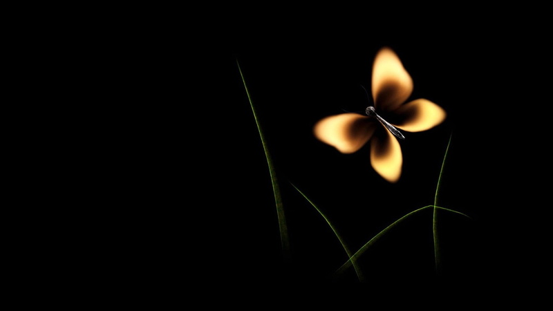 fire, bright, celebration, backgrounds, luminosity, fire - Natural Phenomenon, celebration event, valentines day - holiday, nature, event, candle, light - Natural Phenomenon
